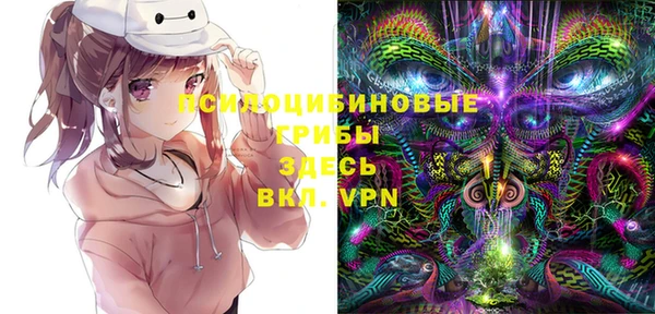 первитин Алексин