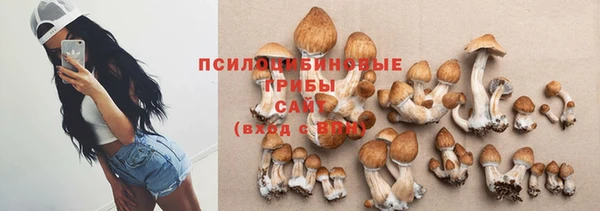 первитин Алексин