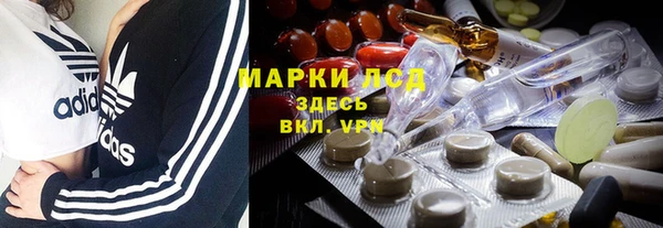 a pvp Алзамай