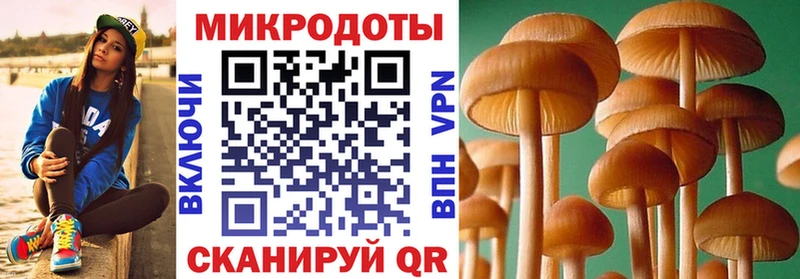Галлюциногенные грибы прущие грибы  Дзержинск 